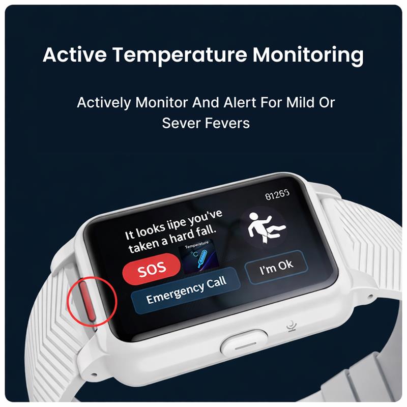 Falls Watch Safety